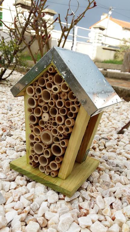 Authentique Gite 1950 Poitiers Futuroscope Aquascope, 1A9Prsn, 3 Pkg, 3 Etoiles A 6Prsn Et 3 Appoints Eco-Responsable Luaran gambar